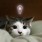 とるしえ